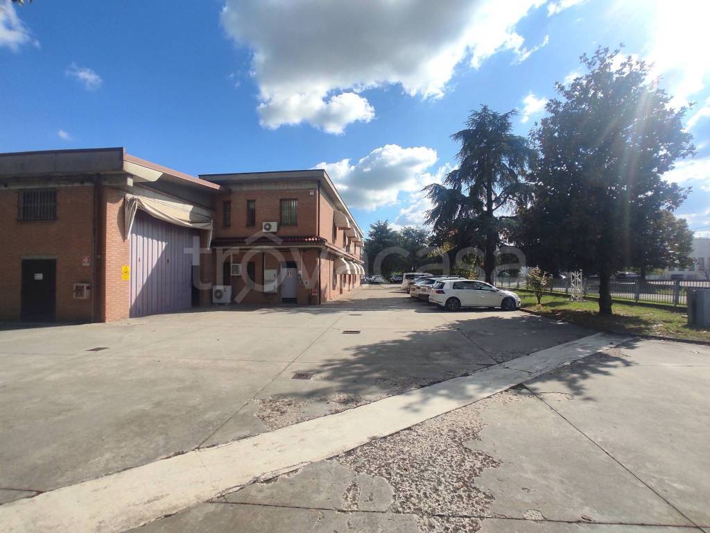 immagine annuncio 3 di 10