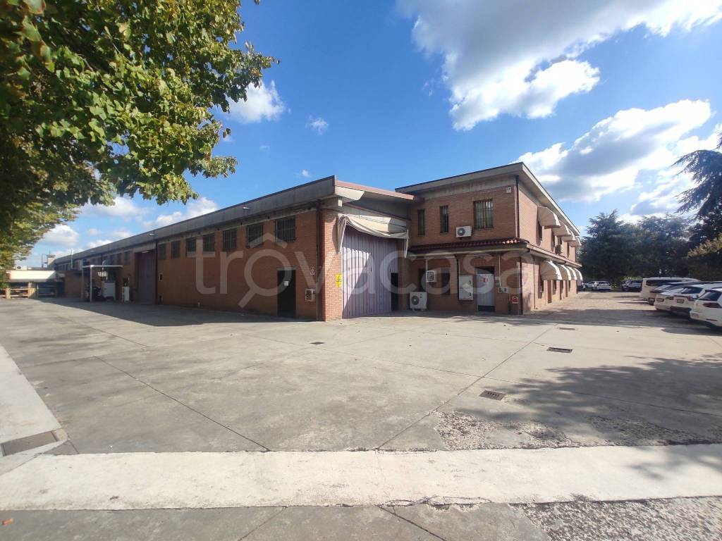 immagine annuncio 1 di 10