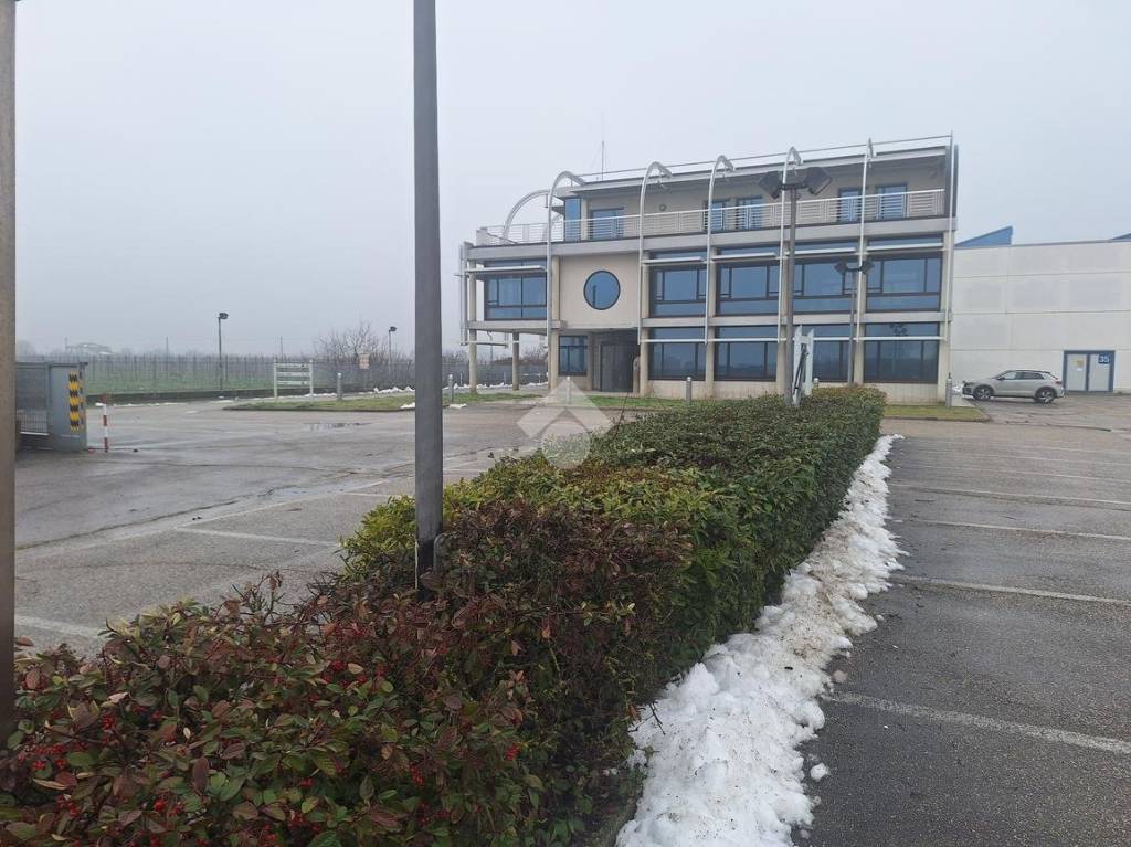 immagine annuncio 6 di 14