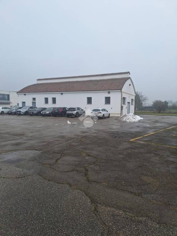 immagine annuncio 8 di 14