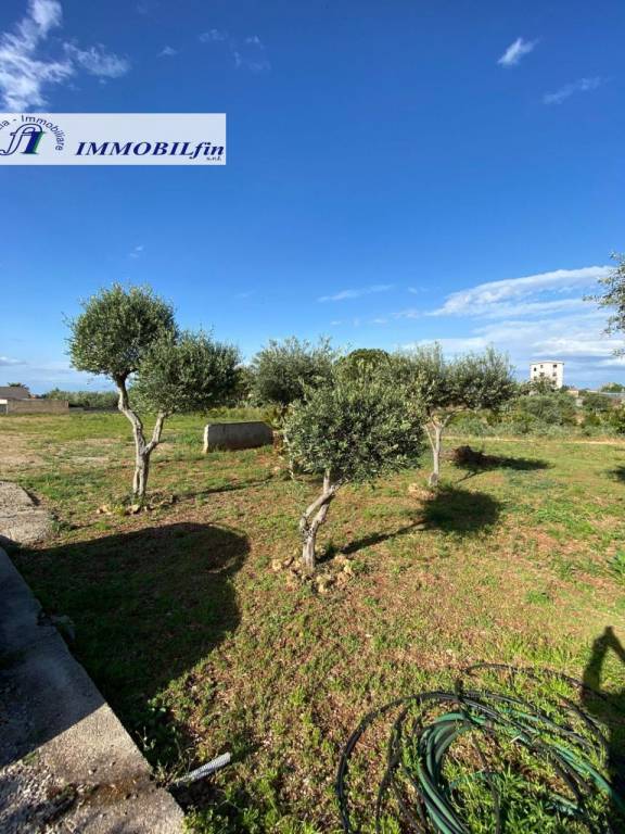 immagine annuncio 9 di 11