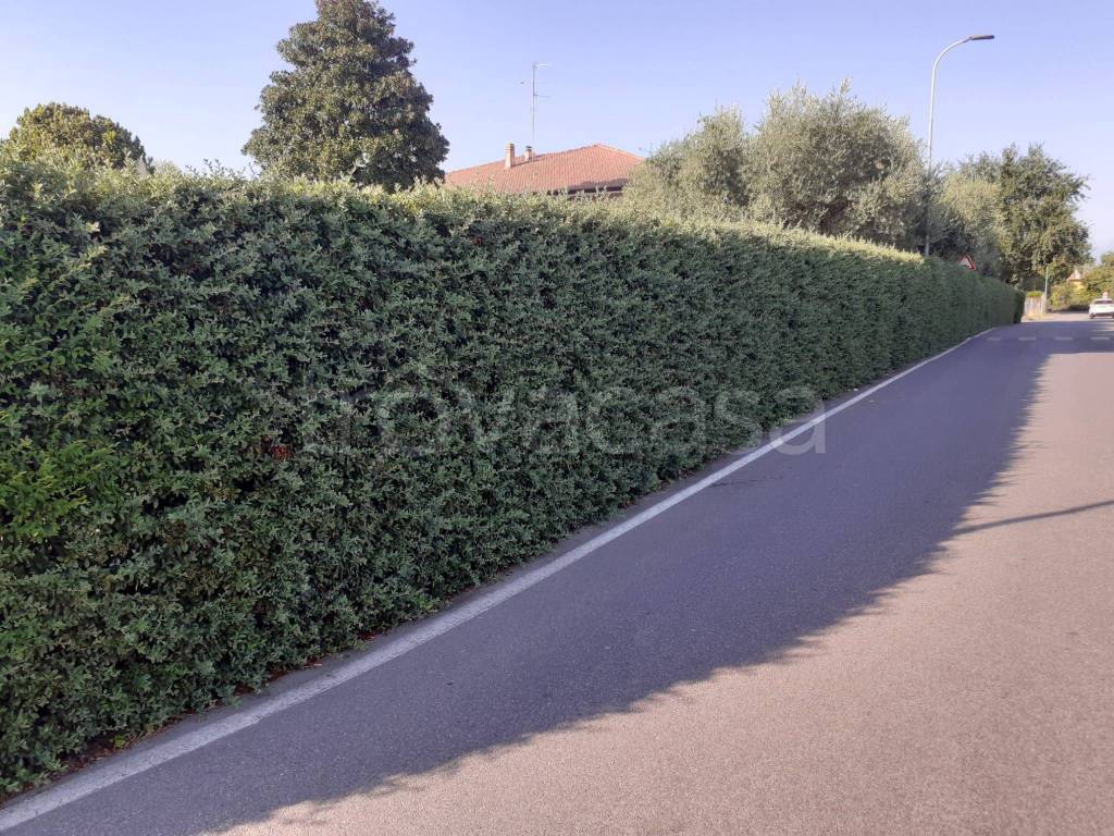 immagine annuncio 8 di 15