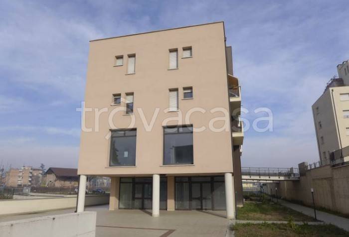 immagine annuncio 3 di 9