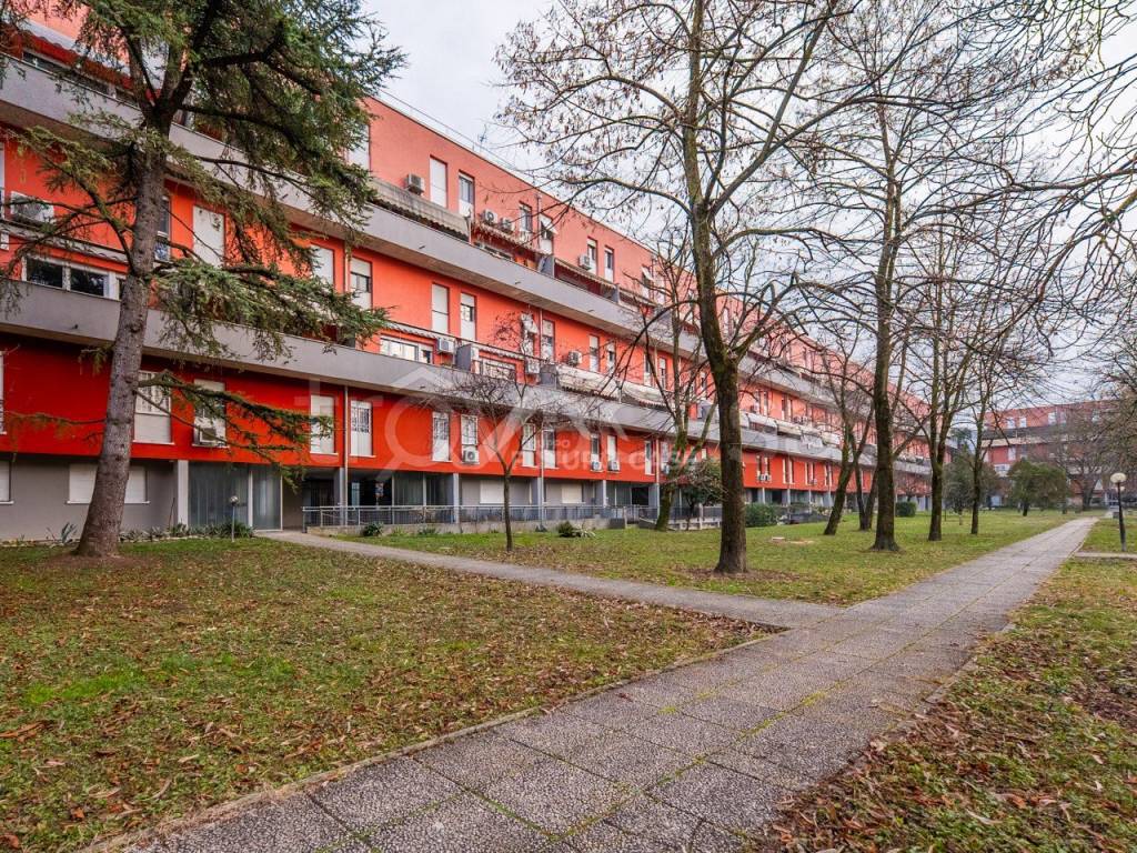 immagine annuncio 10 di 12