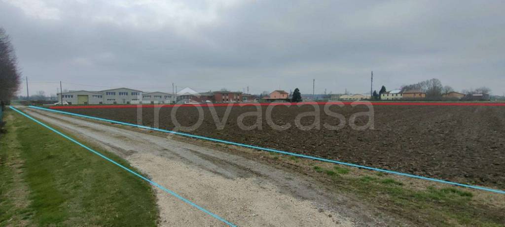 immagine annuncio 2 di 9