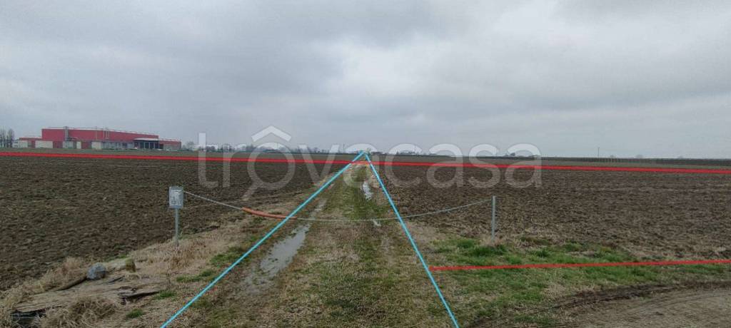 immagine annuncio 4 di 9