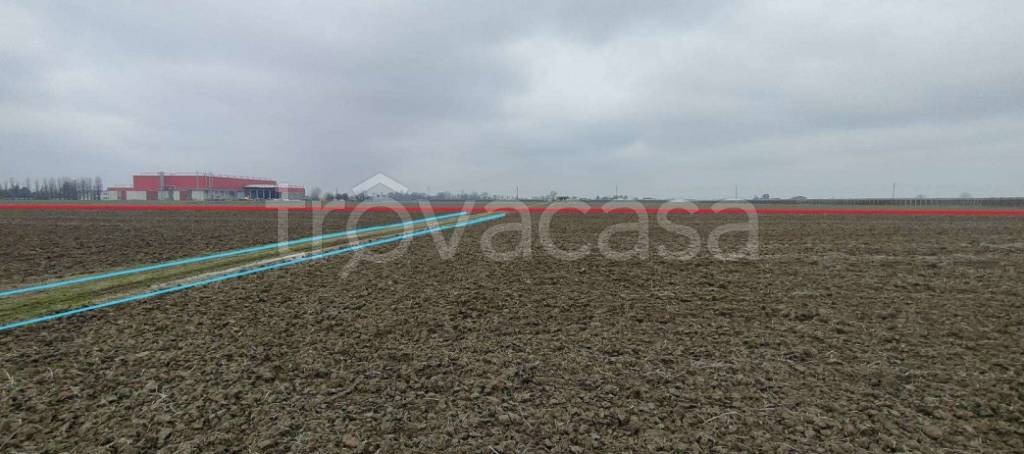 immagine annuncio 5 di 9