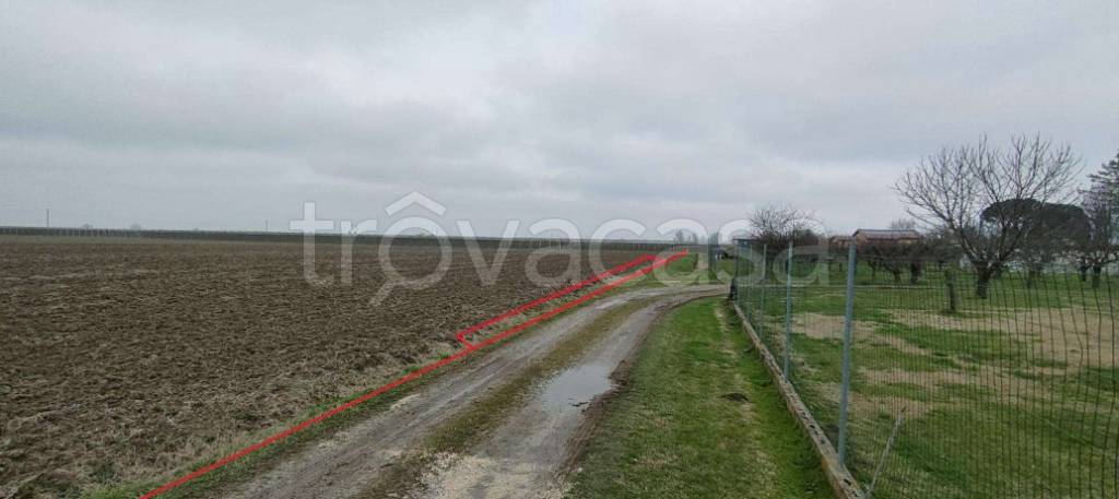 immagine annuncio 6 di 9