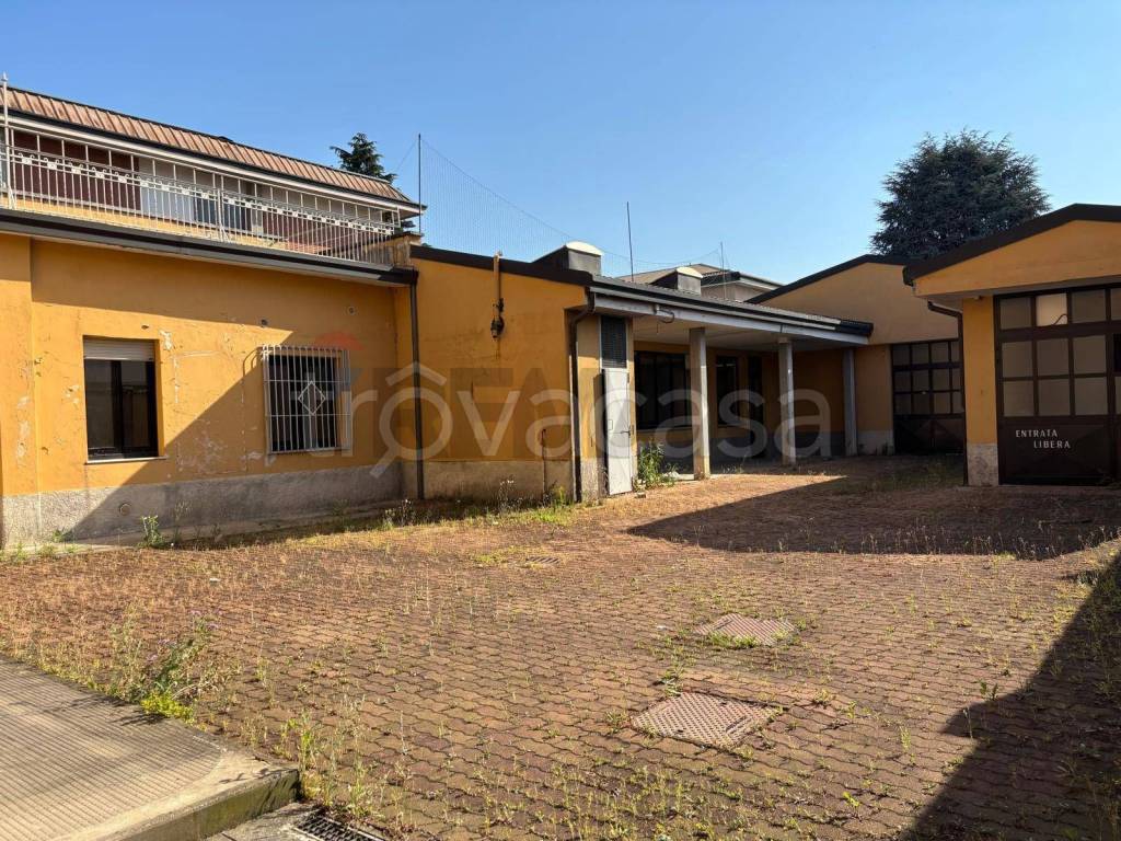 immagine annuncio 5 di 15