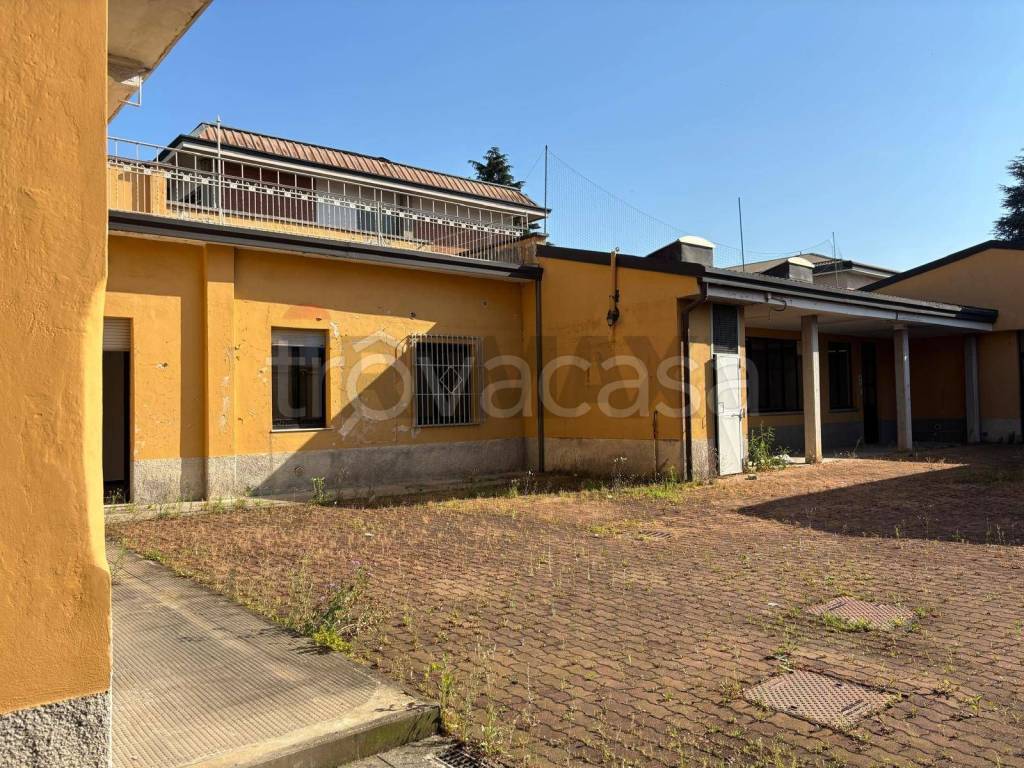 immagine annuncio 6 di 15