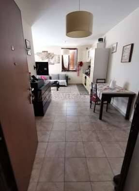 immagine annuncio 1 di 14