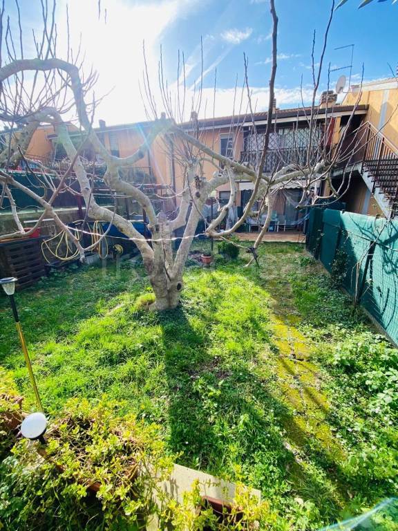 immagine annuncio 8 di 15