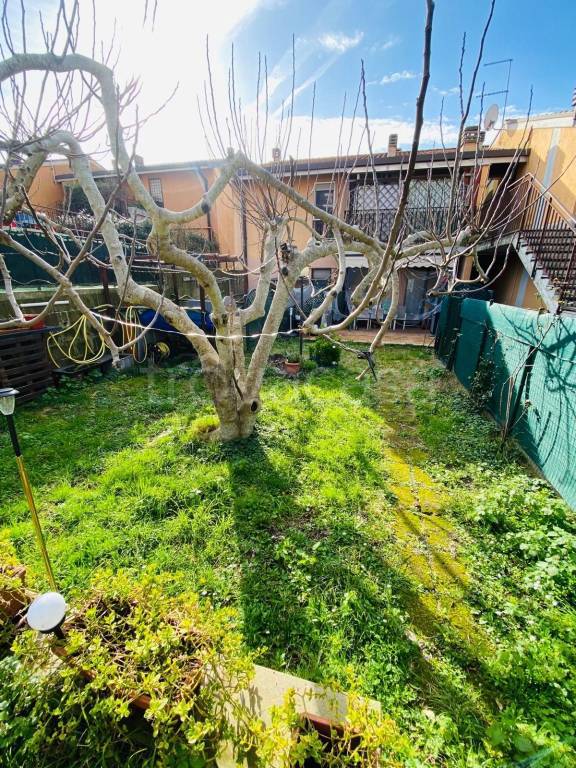 immagine annuncio 11 di 15