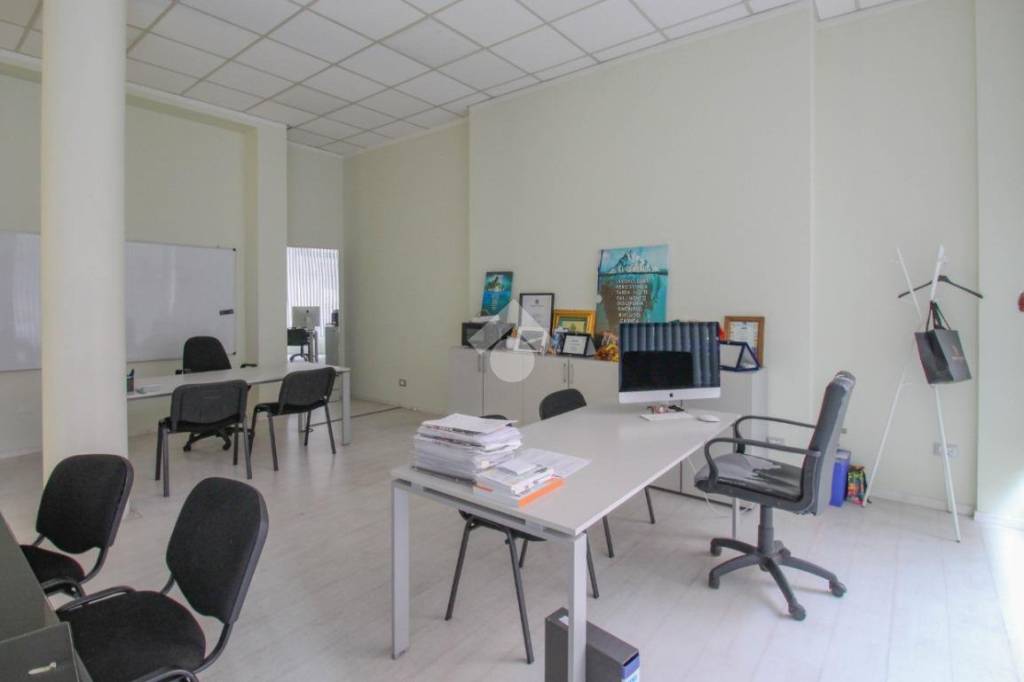 immagine annuncio 4 di 12