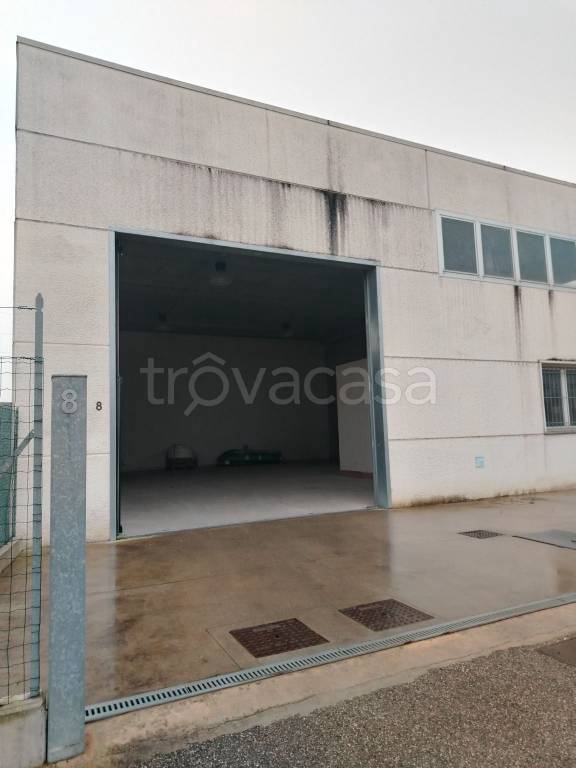 immagine annuncio 1 di 8