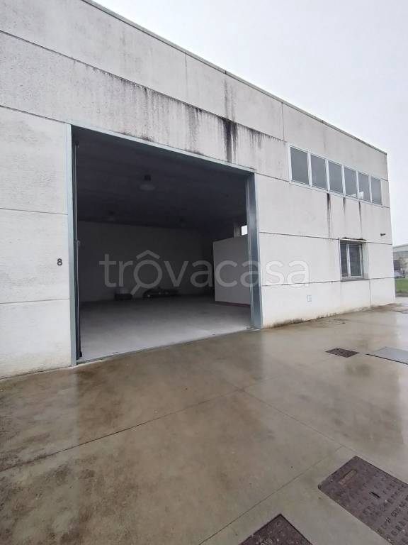 immagine annuncio 2 di 8