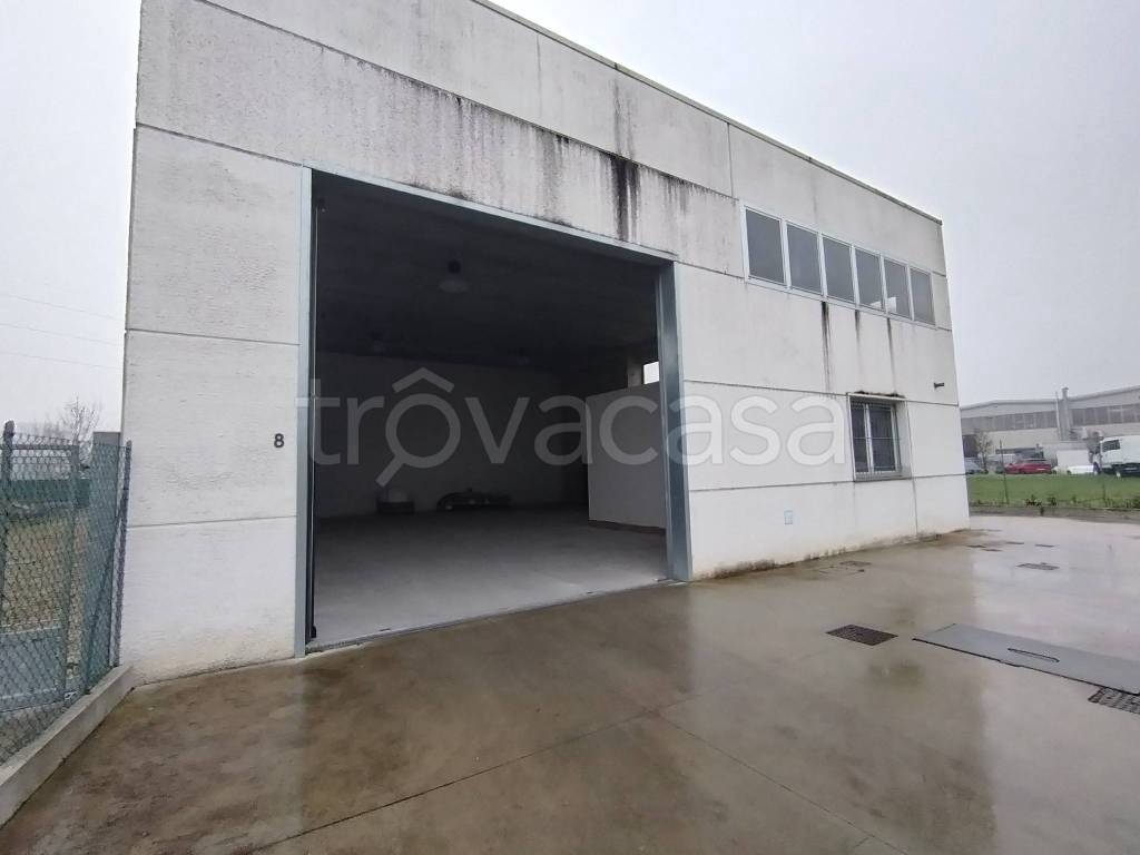 immagine annuncio 3 di 8