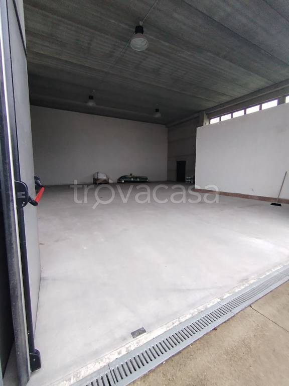 immagine annuncio 5 di 8