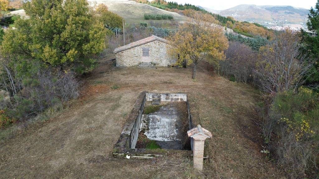 immagine annuncio 9 di 12