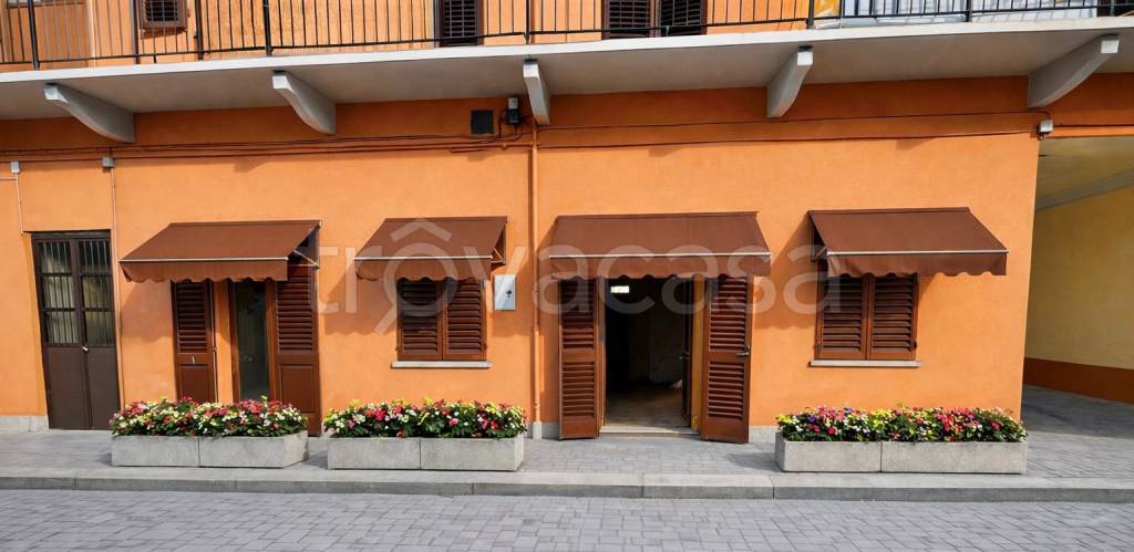 immagine annuncio 5 di 6