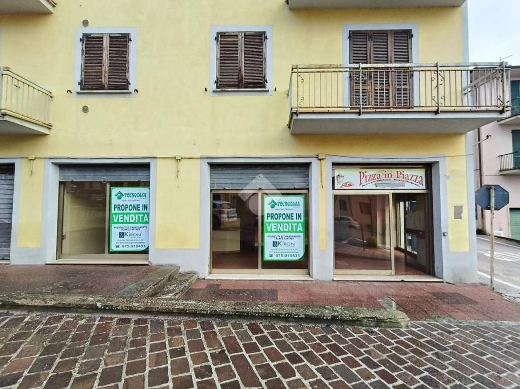 immagine annuncio 12 di 13