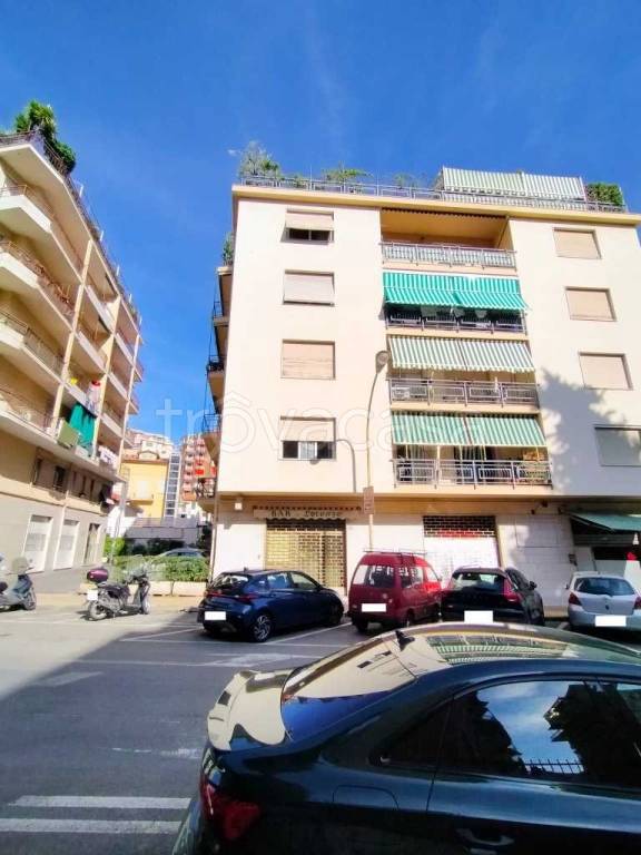 immagine annuncio 6 di 8