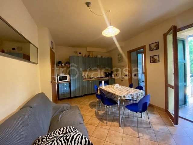 immagine annuncio 6 di 12