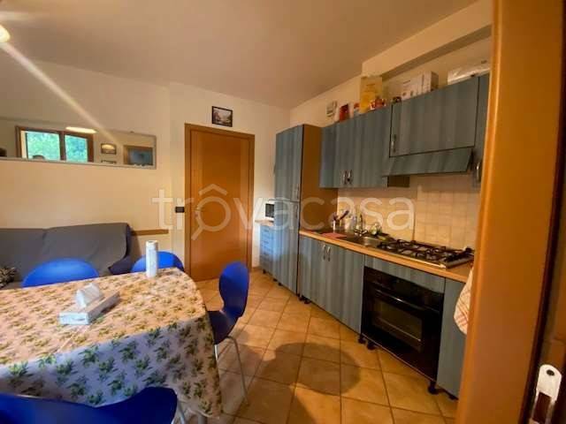 immagine annuncio 9 di 12