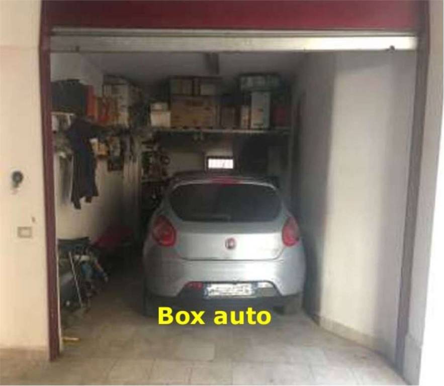 immagine annuncio 12 di 13