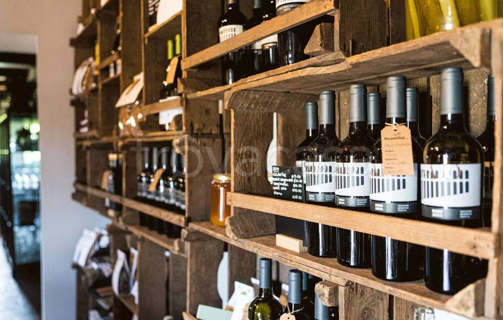 immagine annuncio 8 di 12