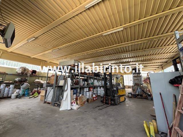 immagine annuncio 1 di 10