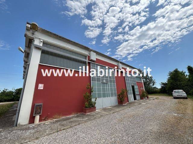 immagine annuncio 9 di 10