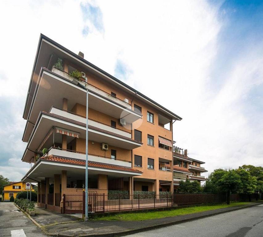 immagine annuncio 9 di 15