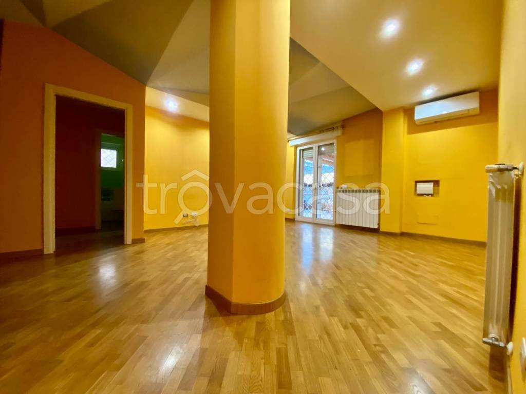 immagine annuncio 5 di 12