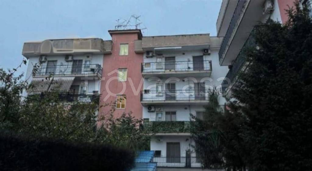 immagine annuncio 4 di 12