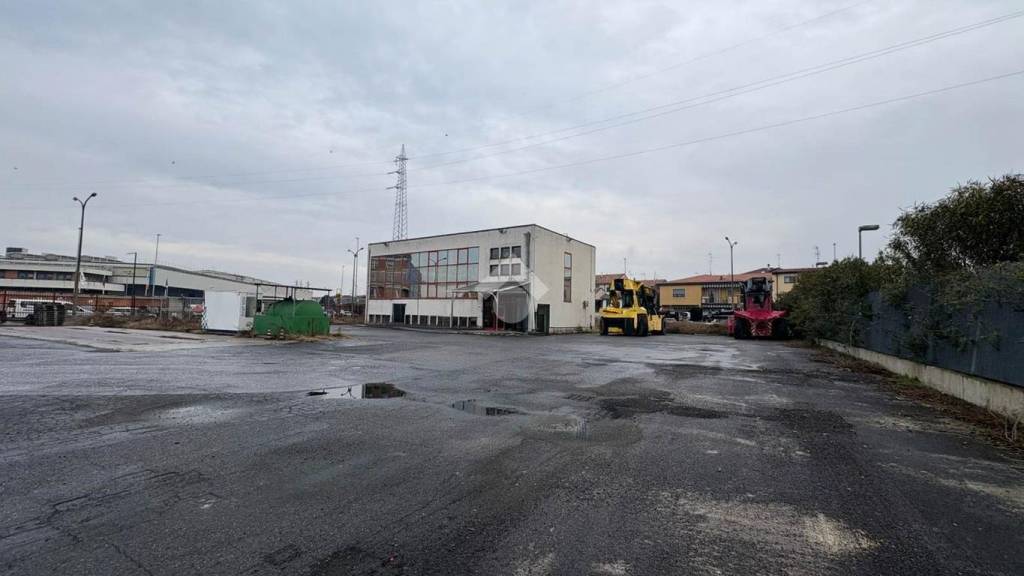 immagine annuncio 9 di 15