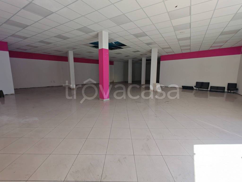 immagine annuncio 1 di 8