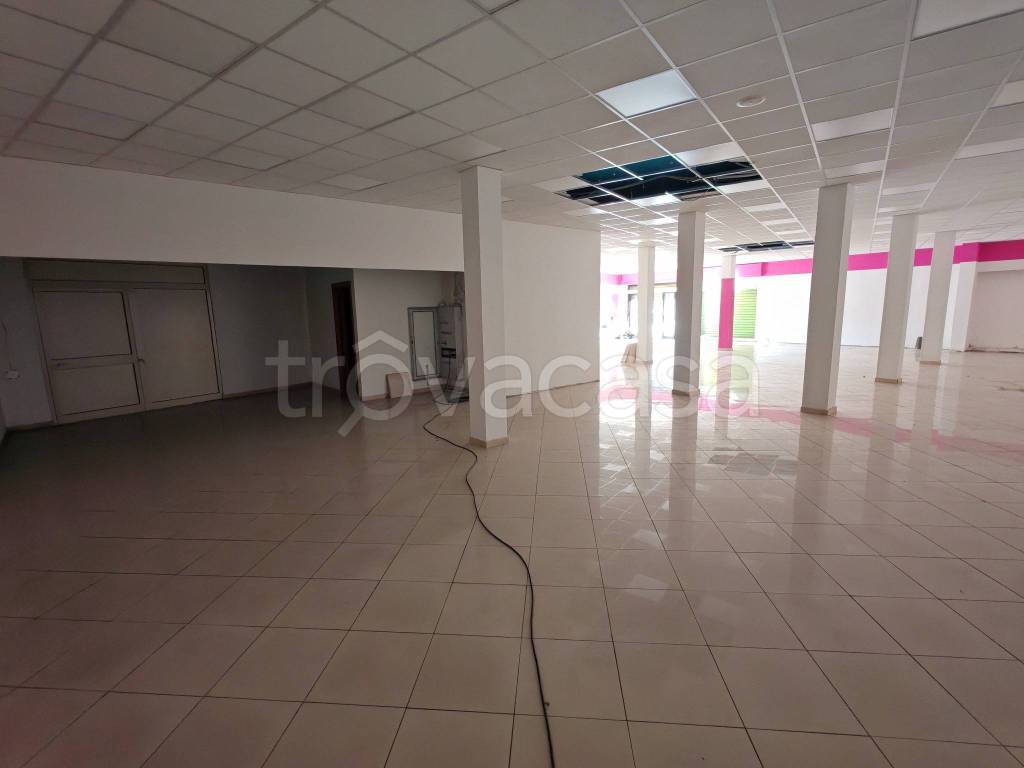 immagine annuncio 2 di 8