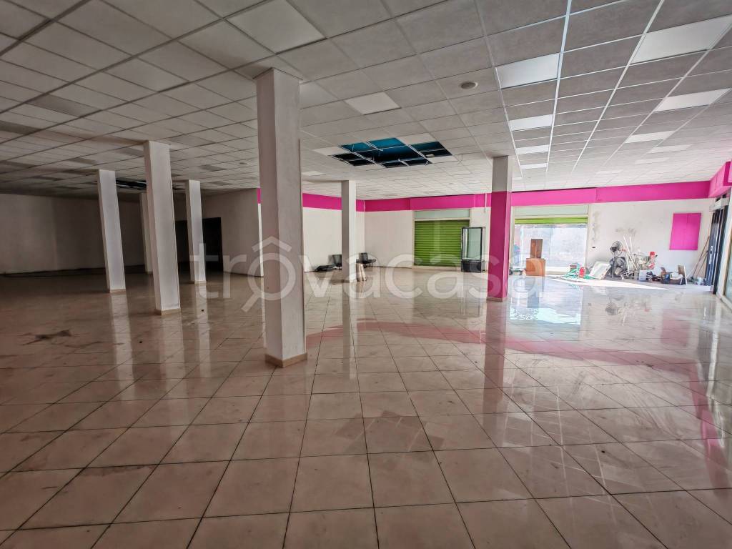 immagine annuncio 6 di 8