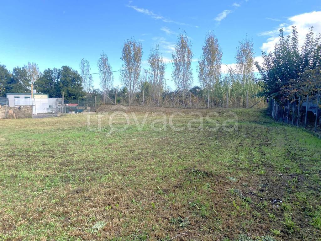 immagine annuncio 3 di 7