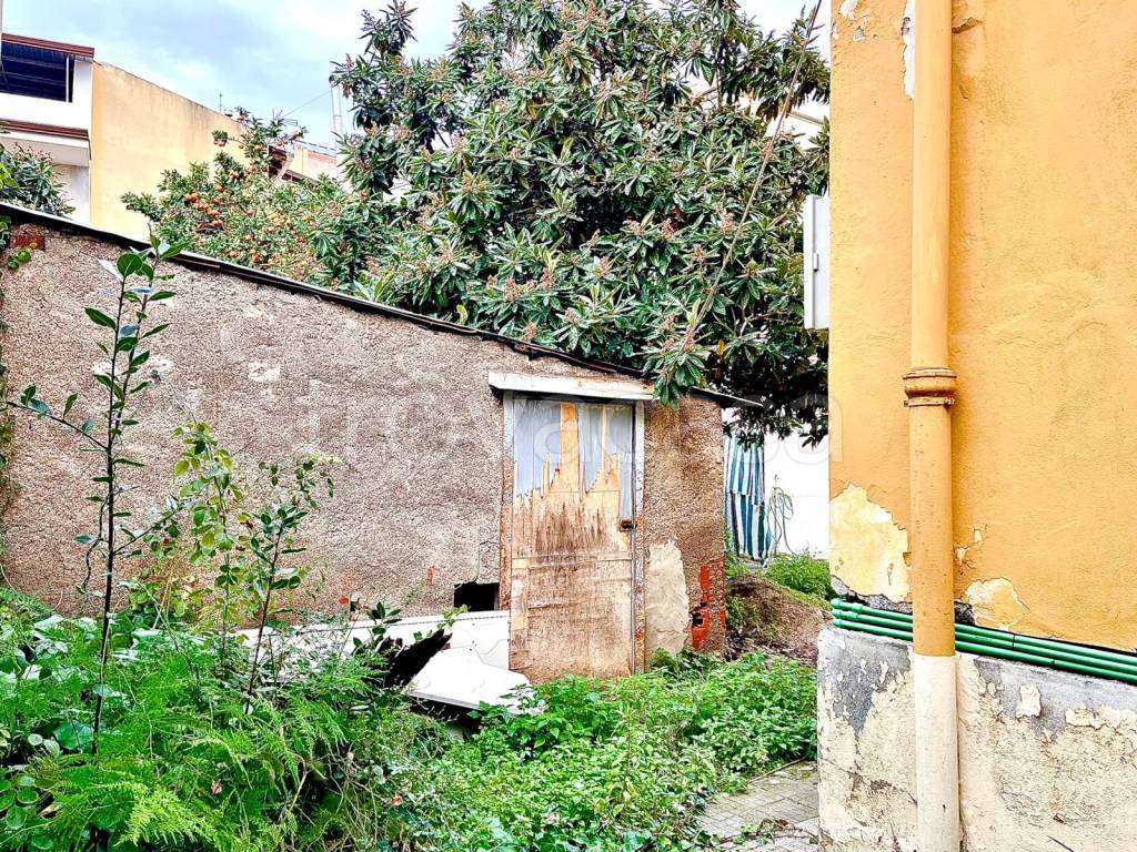 immagine annuncio 5 di 8