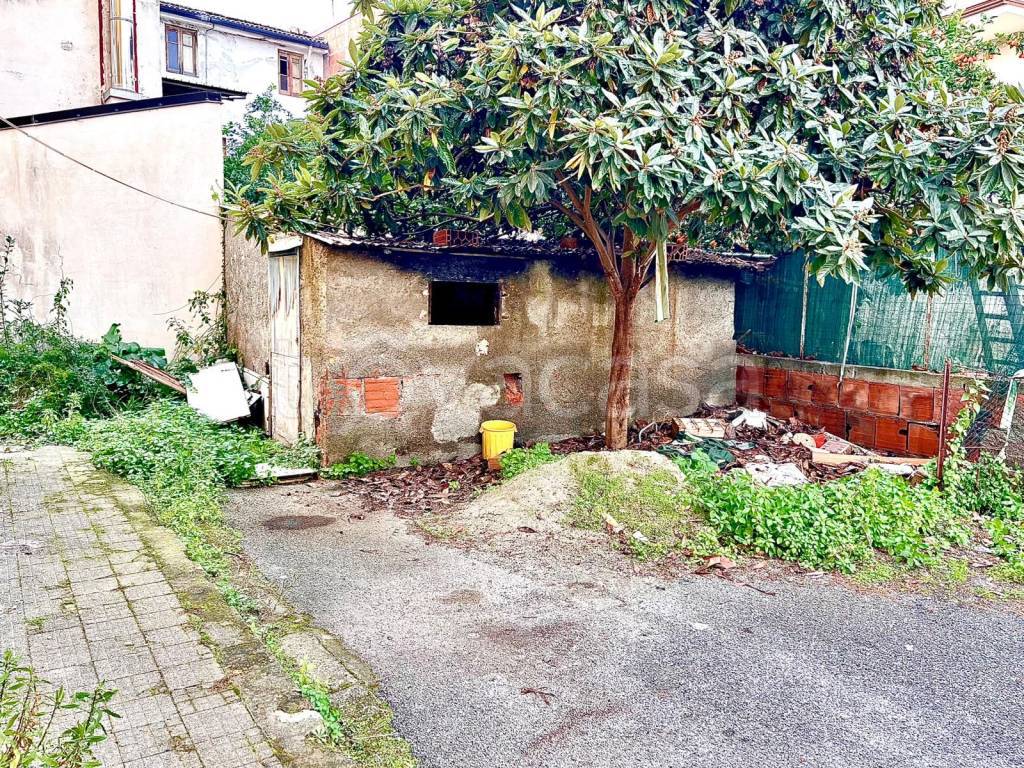 immagine annuncio 6 di 8