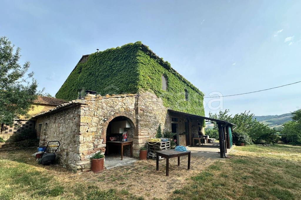 immagine annuncio 3 di 9