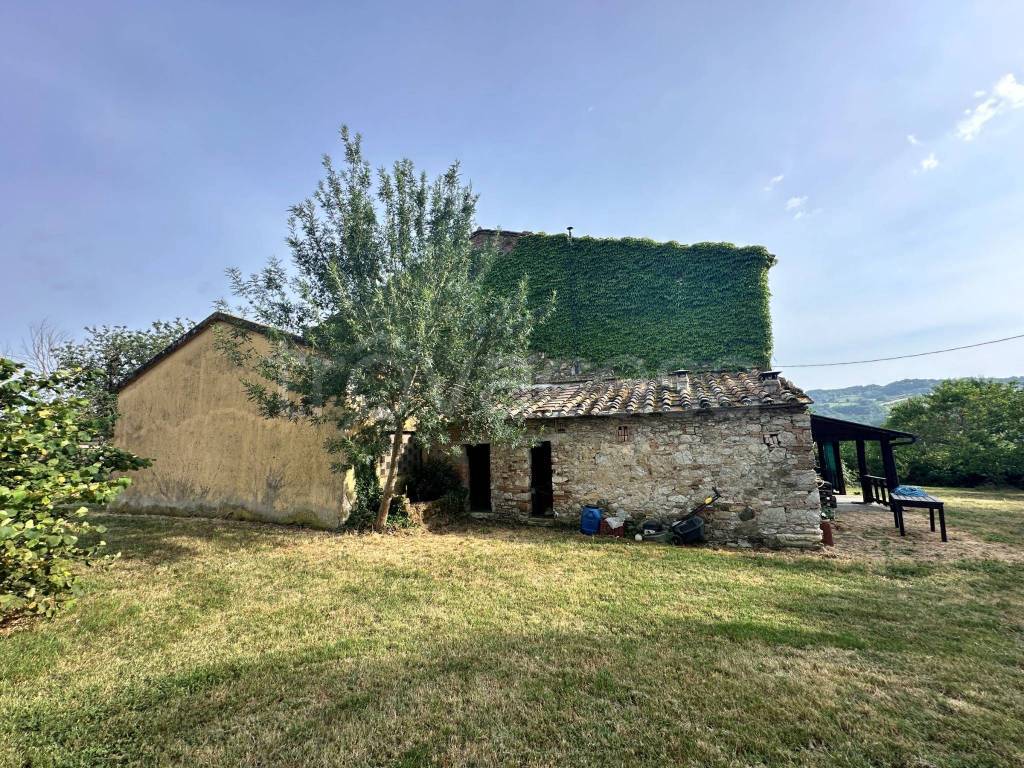 immagine annuncio 4 di 9