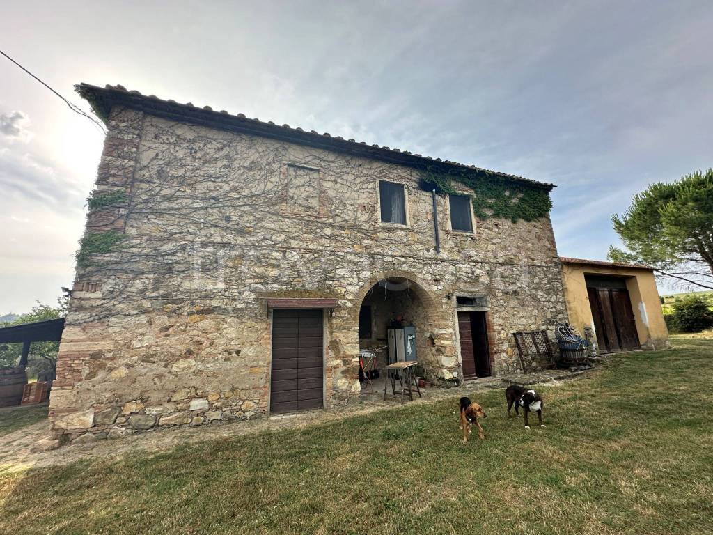 immagine annuncio 2 di 9