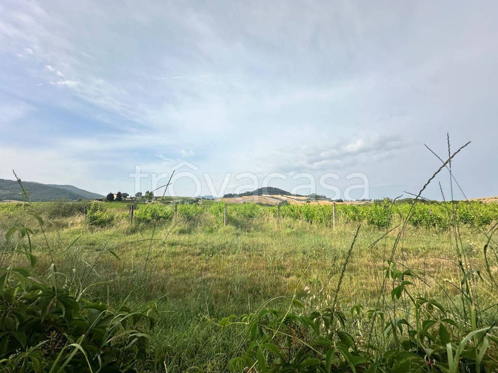 immagine annuncio 6 di 9