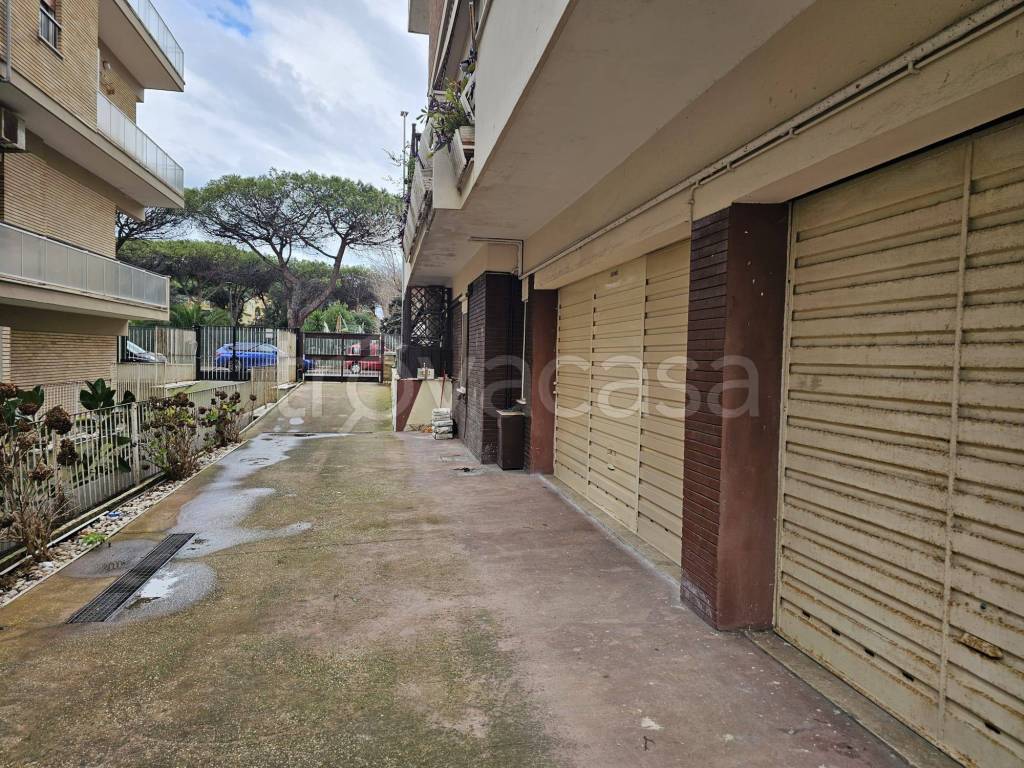 immagine annuncio 12 di 14