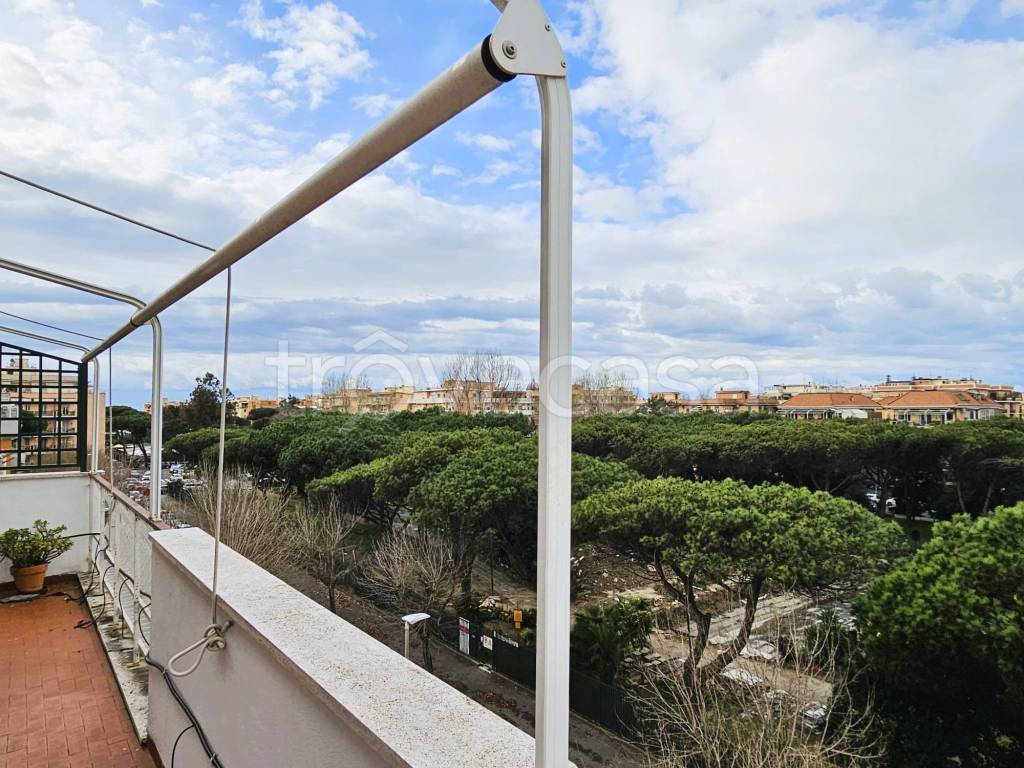 immagine annuncio 2 di 14