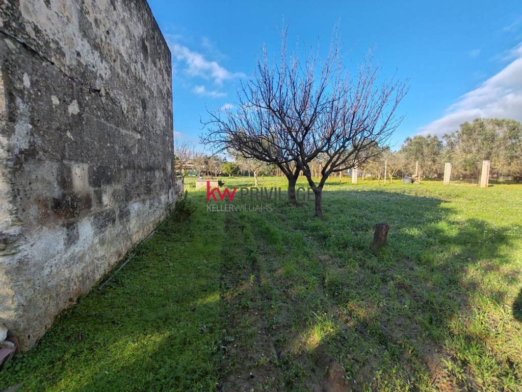 immagine annuncio 10 di 12