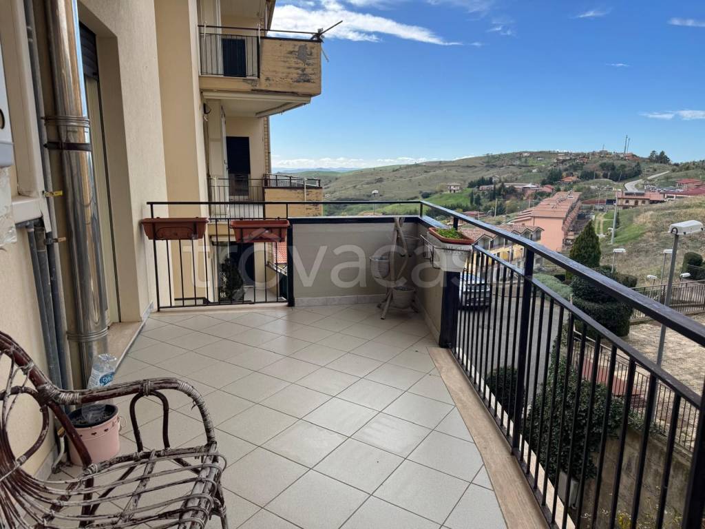 immagine annuncio 9 di 13